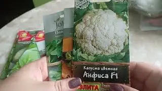 Самые лучшие семена капусты👍