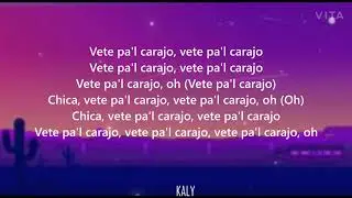 Tu mataste las emociones Te fuiste sin darme razones (letra)