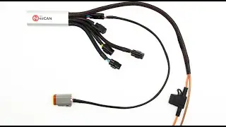 Motorcycle Trailer Wiring Using the ezCAN Accessory Manager - Fits Harley & BMW motorcycles & trikes