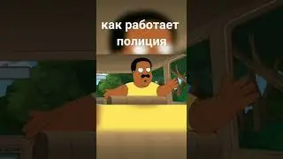 как работает полиция