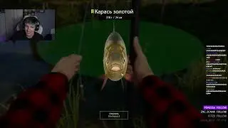 МАЗЕЛЛОВ НОВЫЙ МЕМ, ЗАМЕНА БАРХАТНЫХ ТЯГ