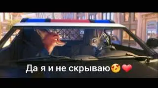 Хитрый кролик,глупый лис😻❤