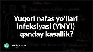 Yuqori nafas yoʻllari infeksiyasi (YNYI) qanday kasallik? | Tibbiyot