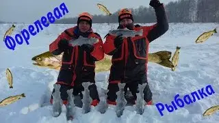 Рыбалка на форель зимой на пасту / 2 Часть !