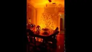 ALUMINUM CHRISTMAS TREE 2013 PT.2