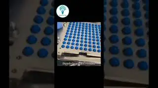 capsule capsulefilling Capsule Preparation and filling procedure Practical || Pharma