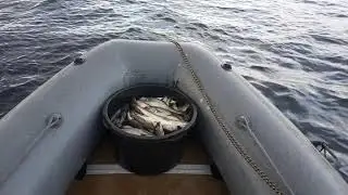 Отрываемся по сайде 17.09.2018