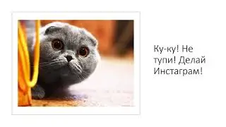Администратор Инстаграм. Матвей Северянин