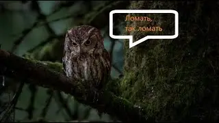 Lineage 2 Essence. PROточка, мини лудка и точим скилл Скрытая Сила Ноды на +1.