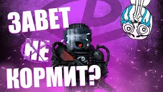 ЗАВЕТ НЕ КОРМИТ? // ГРОЗА ЗАВЕТА // STALCRAFT