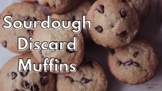 Sourdough Discard Banana Chocolate Chip Muffins
