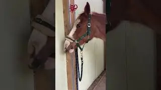 Had the best lesson yesterday!