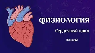 Понять и НЕ учить | Физиология сердечного цикла