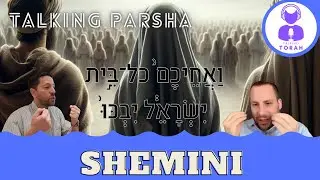Parashat Shemini: why can’t they mourn?? (Talking Parsha - Shemini)