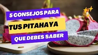 5 formas naturales de cuidar tus plantas de pitahaya