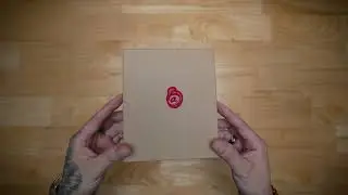 Ashland Leather | Tony The Ant | Amaretto Shell Cordovan | Quick Look & Unboxing