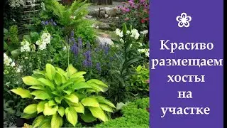 ❀ Красиво размещаем хосты на участке
