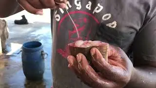 strange fish cutting | Asian fish | chopping skill | fish market | guss the name of fish....