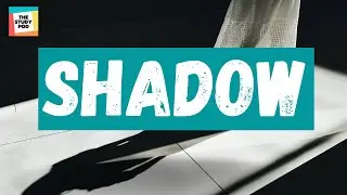 SHADOWS | SCIENCE | The Study Pod