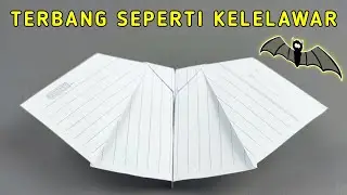 PLANES FLY LIKE BATS