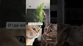 *семейные разборки*