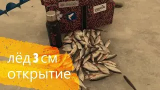 Первый лёд 2021-2022. Открытия на трёх прудах. Плотва, окунь, подлещик