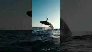 12 марта 2024 г.