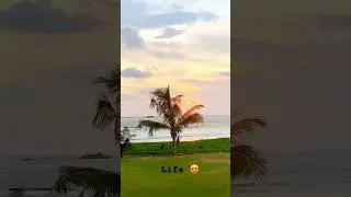 ( morning ) the beach Vibe 😍 #life #trading #viral #virlvideo  #fyp #beach