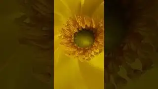 Любимый детский цвет)))