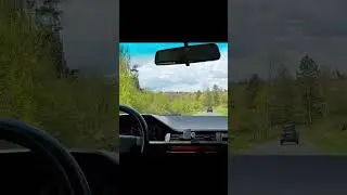 W124 driving through the Belgian Ardennes #w124 #mercedes