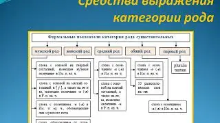 Лекция 2  Категория рода сущ