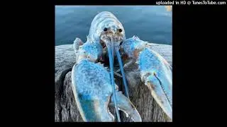 feofilov - on my nёck v.5 (слив трека)