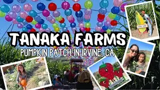 We visited a real FARM!