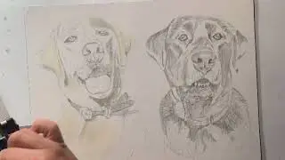 Montana & Remington