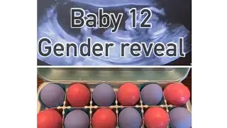 Baby #12 Gender reveal| egg gender reveal