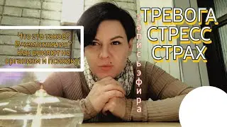 Запись эфира про тревогу, стресс и страх.
