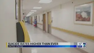 Suicide Rates Higher Than Ever