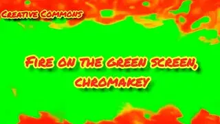 Fire on the green screen, chromakey. Fire footage for video editing.
