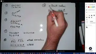 Lab 2 Exercise 10 instructions