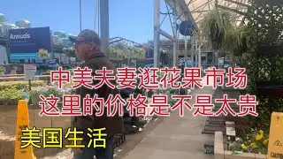 490 美国生活：中美夫妻逛花果市场，感觉今年的价格特别高