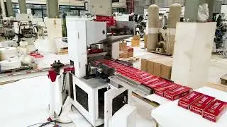 Cigarette Pack Boxing Machine in Action - Cigarette Box Packaging Machine