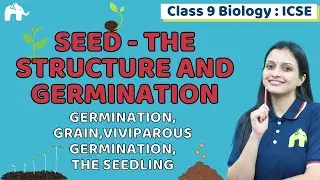 Seed- The Structure and Germination Class 9 ICSE Biology | Chapter 5 | Germination, Viviparous