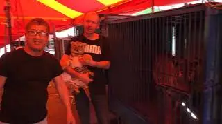 Мишка Нальчик 2020