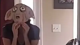 Dobby doing Dobby things!