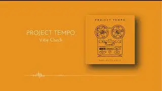 Project Tempo - Vibe Check