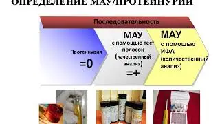 Хроническая болезнь почек