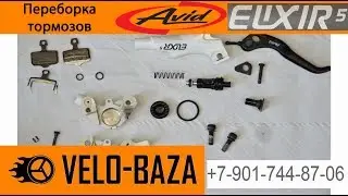 Full service for Avid Elixir 5 brakes
