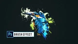 Photoshop CC Tutorial: Brush Effect Bird ( Kingfisher)