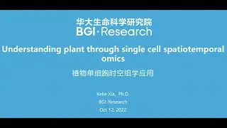 STOmics Webinar Presentation by Dr Keke Xia