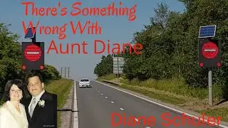 Model Mother To Murderer? Diane Schuler what went wrong